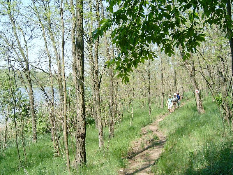 20120501 032.jpg
